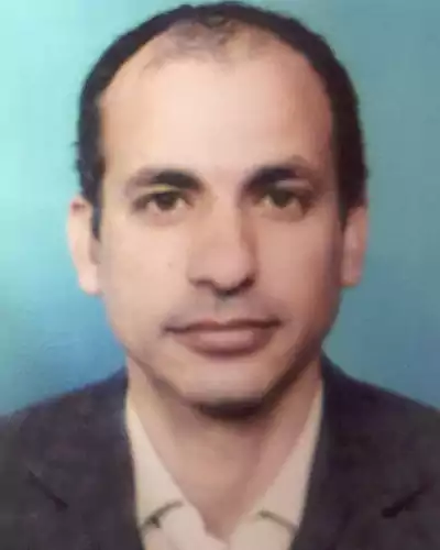 Nasser Sholi
